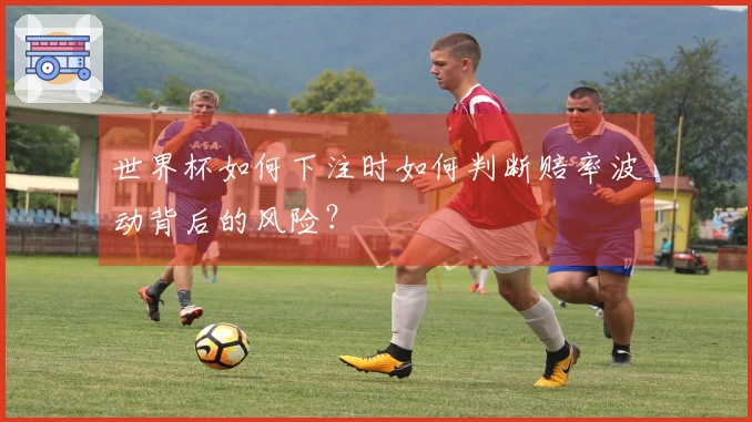 世界杯如何下注时如何判断赔率波动背后的风险？